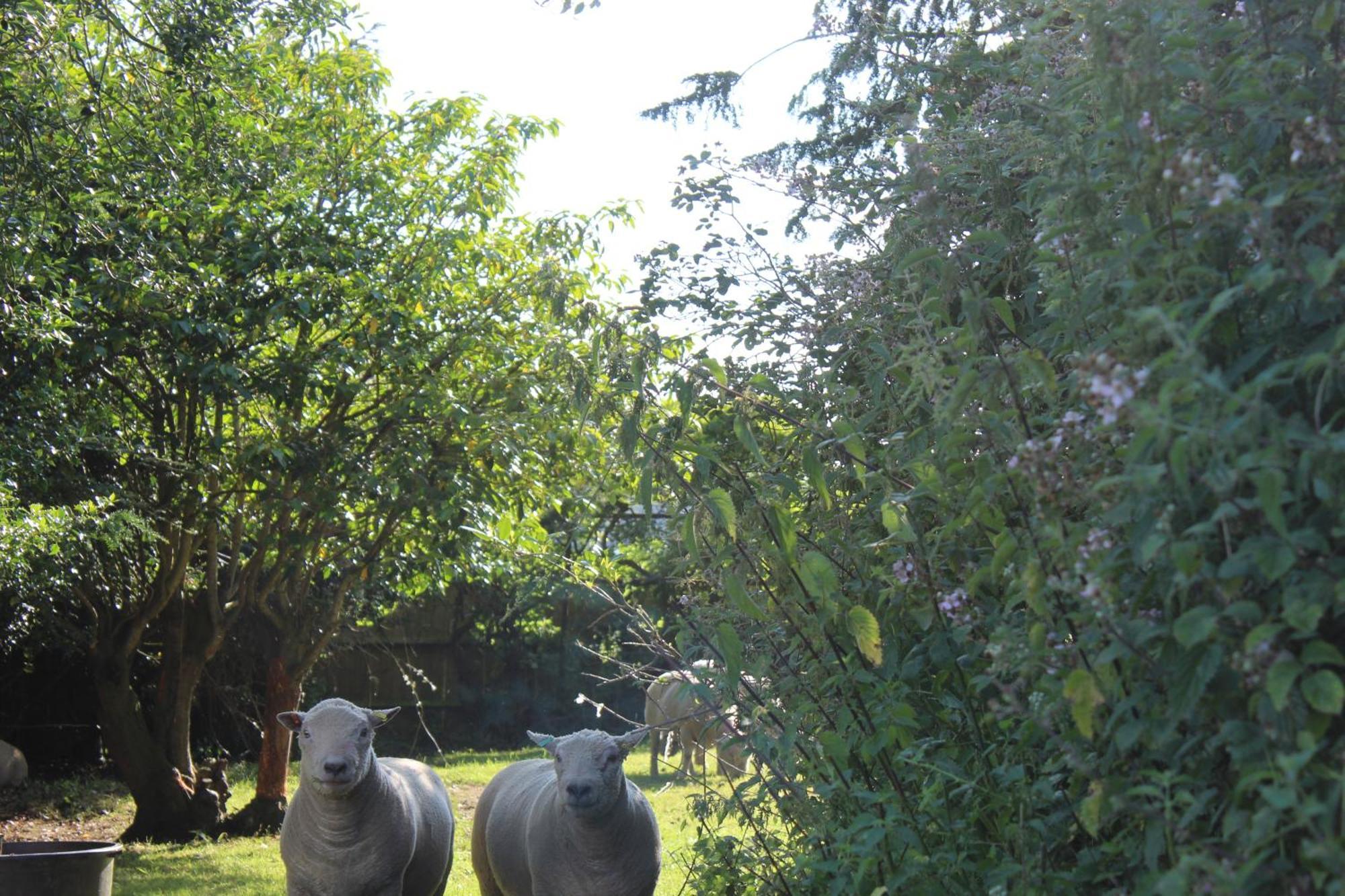 Parkfields Barns Self Catering Accommodation Buckingham Kültér fotó