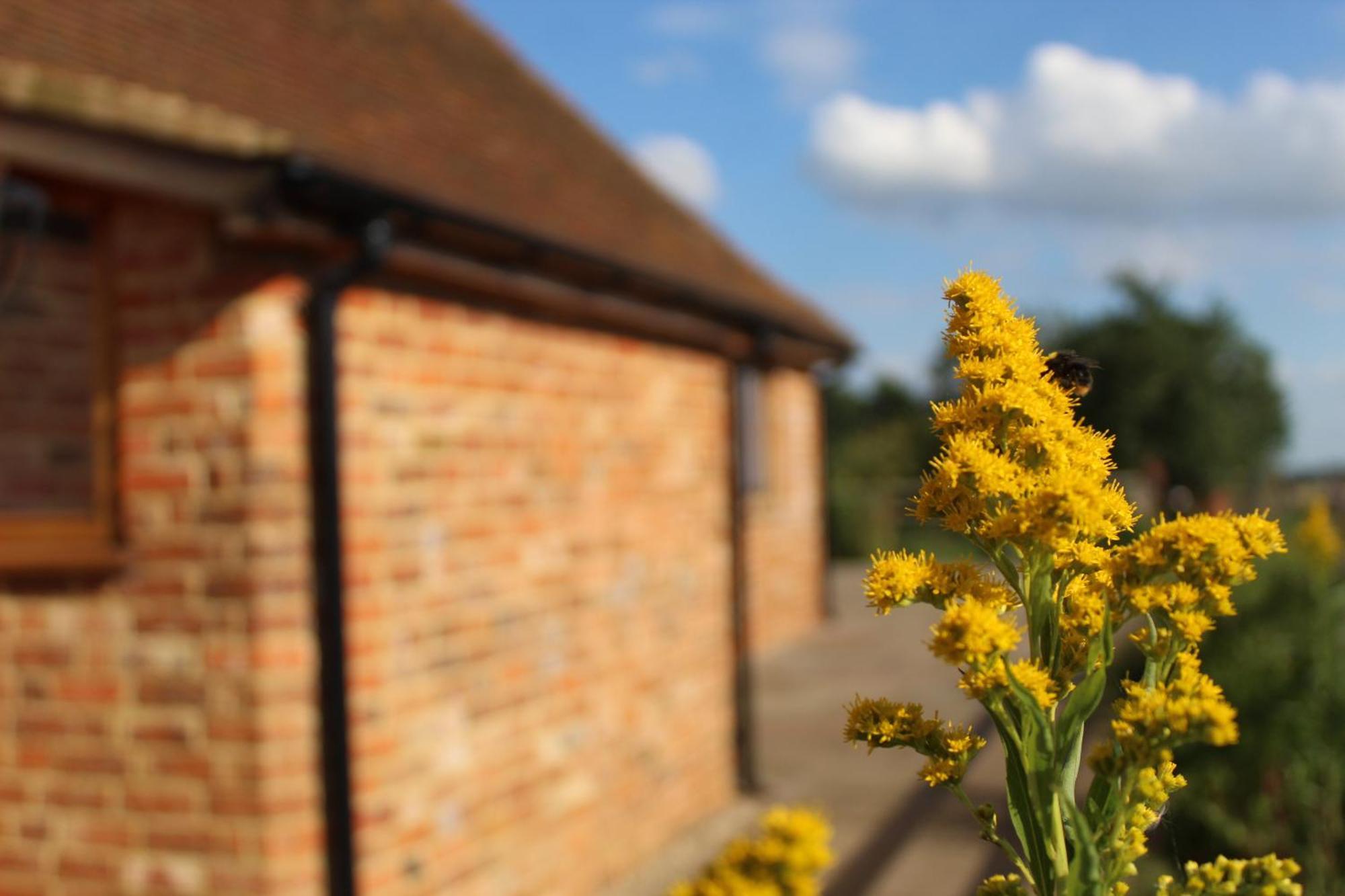 Parkfields Barns Self Catering Accommodation Buckingham Kültér fotó