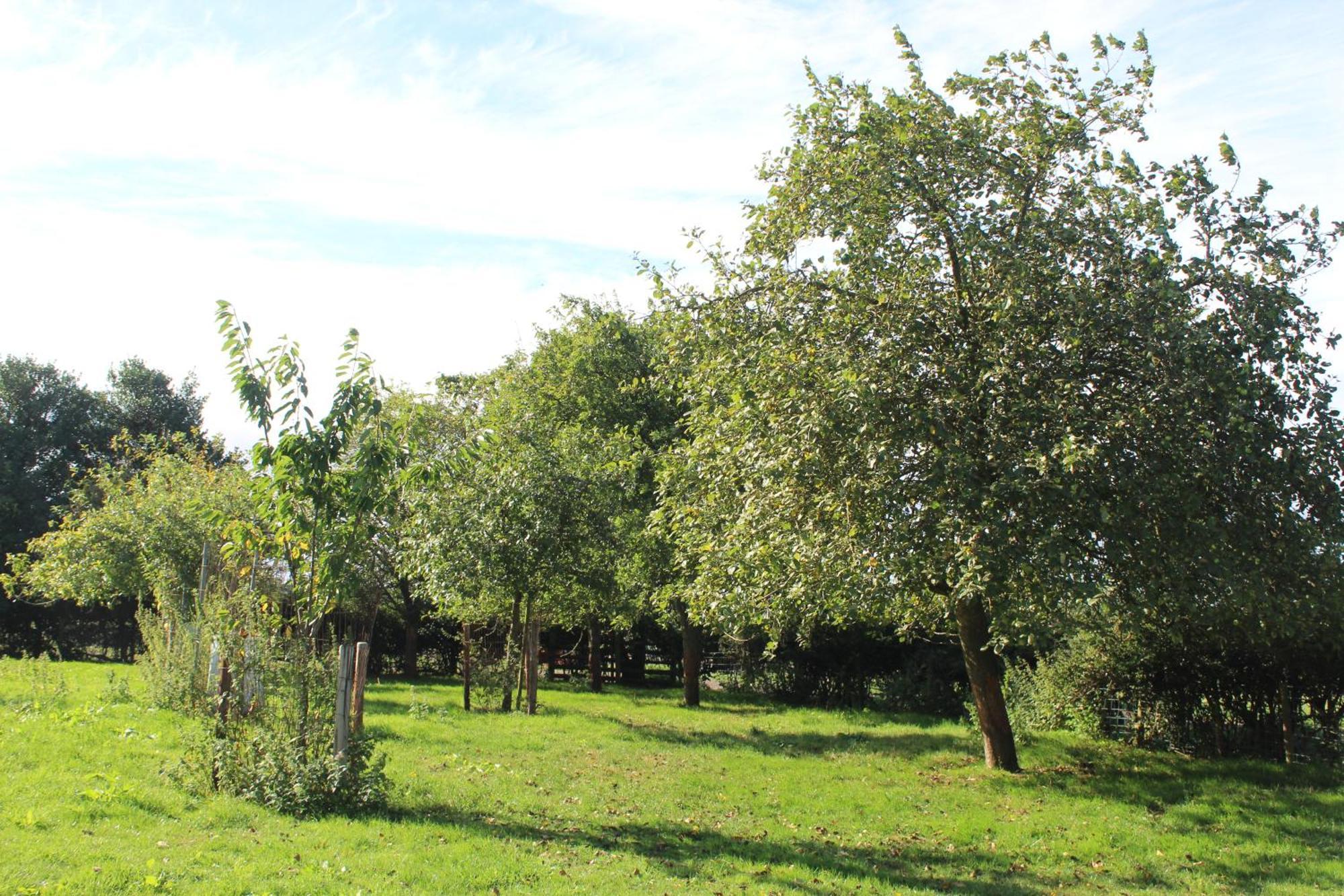 Parkfields Barns Self Catering Accommodation Buckingham Kültér fotó